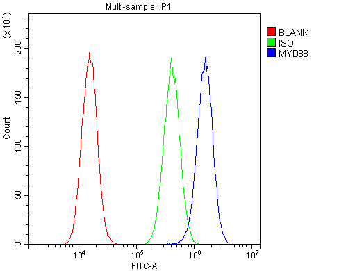 MYD88 Antibody - Flow Cytometry analysis of A549 cells using anti-MYD88 antibody. Overlay histogram showing A549 cells stained with anti-MYD88 antibody (Blue line). The cells were blocked with 10% normal goat serum. And then incubated with rabbit anti-MYD88 Antibody (1µg/10E6 cells) for 30 min at 20°C. DyLight®488 conjugated goat anti-rabbit IgG (5-10µg/10E6 cells) was used as secondary antibody for 30 minutes at 20°C. Isotype control antibody (Green line) was rabbit IgG (1µg/10E6 cells) used under the same conditions. Unlabelled sample (Red line) was also used as a control.