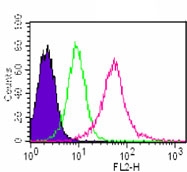 MYD88 Antibody - Intracellular flow cytometry of MyD88 antibody in Jurkat cells using 0.5 ug. Shaded histogram represents cells without antibody; green represents isotype control; red represents anti-MyD88 antibody.