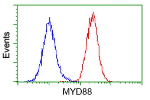 MYD88 Antibody - Flow cytometry of HeLa cells, using anti-MYD88 antibody (Red), compared to a nonspecific negative control antibody (Blue).