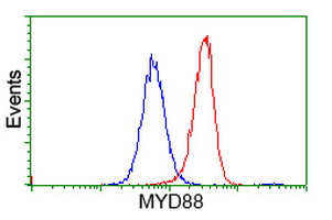 MYD88 Antibody - Flow cytometry of HeLa cells, using anti-MYD88 antibody (Red), compared to a nonspecific negative control antibody (Blue).