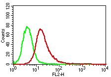 MYD88 Antibody - Fig-2: Intracellular flow analysis of MyD88 in Jurkat using 0.5 µg/10^6 cells of MyD88 antibody. Green represents isotype control; red represents anti-MyD88 antibody. Goat anti-mouse PE conjugate was used as secondary antibody.