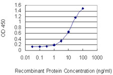 MYH3 Antibody - Detection limit for recombinant GST tagged MYH3 is 0.3 ng/ml as a capture antibody.