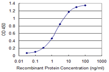 MYL2 Antibody - Detection limit for recombinant GST tagged MYL2 is 0.03 ng/ml as a capture antibody.