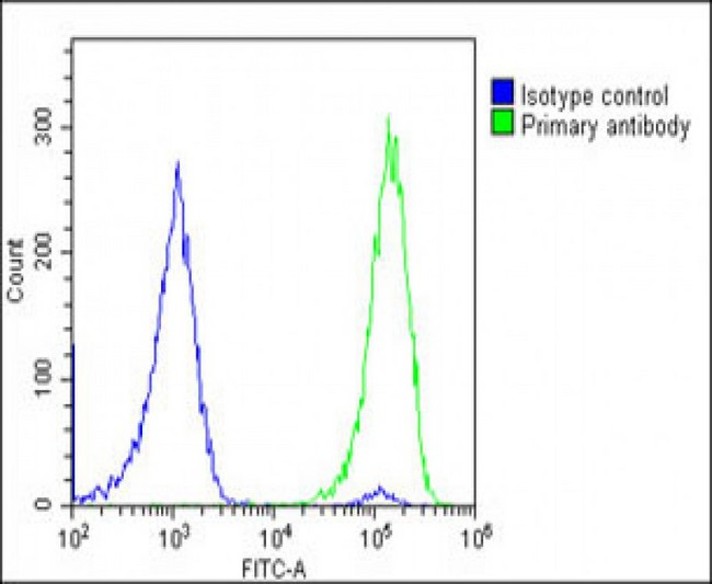 MYL2 Antibody - Overlay histogram showing U-2 OS cells stained with MYL2 Antibody (Center) (green line). The cells were fixed with 2% paraformaldehyde (10 min) and then permeabilized with 90% methanol for 10 min. The cells were then icubated in 2% bovine serum albumin to block non-specific protein-protein interactions followed by the antibody (MYL2 Antibody (Center), 1:25 dilution) for 60 min at 37°C. The secondary antibody used was Goat-Anti-Rabbit IgG, DyLight® 488 Conjugated Highly Cross-Adsorbed (OE188374) at 1/200 dilution for 40 min at 37°C. Isotype control antibody (blue line) was rabbit IgG1 (1µg/1x10^6 cells) used under the same conditions. Acquisition of >10, 000 events was performed.