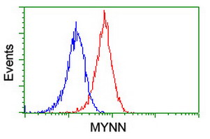 MYNN Antibody - Flow cytometry of Jurkat cells, using anti-MYNN antibody (Red), compared to a nonspecific negative control antibody (Blue).