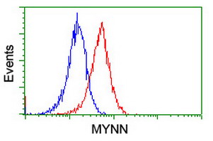 MYNN Antibody - Flow cytometry of Jurkat cells, using anti-MYNN antibody (Red), compared to a nonspecific negative control antibody (Blue).