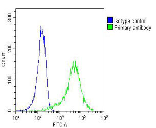 MYO18B / Myosin 18B Antibody - Overlay histogram showing A431 cells stained with MYO18B Antibody (green line). The cells were fixed with 2% paraformaldehyde (10 min) and then permeabilized with 90% methanol for 10 min. The cells were then icubated in 2% bovine serum albumin to block non-specific protein-protein interactions followed by the antibody (MYO18B Antibody, 1:25 dilution) for 60 min at 37°C. The secondary antibody used was Goat-Anti-Mouse IgG, DyLight® 488 Conjugated Highly Cross-Adsorbed (OJ192088) at 1/200 dilution for 40 min at 37°C. Isotype control antibody (blue line) was mouse IgG2b (1µg/1x10^6 cells) used under the same conditions. Acquisition of >10, 000 events was performed.