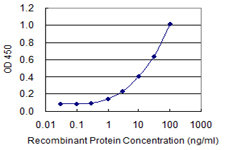 MYO9A Antibody - Detection limit for recombinant GST tagged MYO9A is 0.3 ng/ml as a capture antibody.