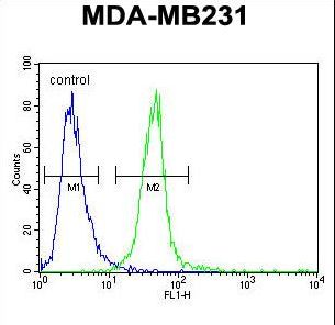 Myozenin / MYOZ1 Antibody - MYOZ1 Antibody flow cytometry of MDA-MB231 cells (right histogram) compared to a negative control cell (left histogram). FITC-conjugated goat-anti-rabbit secondary antibodies were used for the analysis.