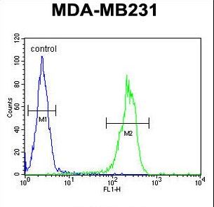 MYSM1 Antibody - MYSM1 Antibody flow cytometry of MDA-MB231 cells (right histogram) compared to a negative control cell (left histogram). FITC-conjugated goat-anti-rabbit secondary antibodies were used for the analysis.