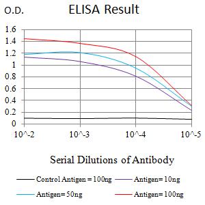 MYST2 / HBO1 Antibody - Black line: Control Antigen (100 ng);Purple line: Antigen (10ng); Blue line: Antigen (50 ng); Red line:Antigen (100 ng)