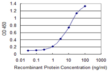 MYST3 / MOZ Antibody - Detection limit for recombinant GST tagged MYST3 is 0.3 ng/ml as a capture antibody.