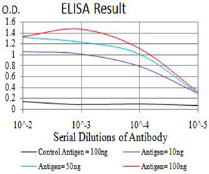NAA10 / ARD1A Antibody - Black line: Control Antigen (100 ng);Purple line: Antigen (10ng); Blue line: Antigen (50 ng); Red line:Antigen (100 ng)
