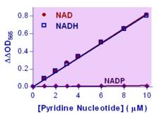 NAD + NADH Assay Kit