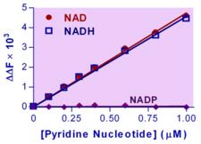 NAD + NADH Assay Kit