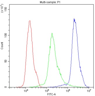 NALP3 / NLRP3 Antibody - Flow Cytometry analysis of THP-1 cells using anti-CIAS1/NALP3 antibody. Overlay histogram showing THP-1 cells stained with anti-CIAS1/NALP3 antibody (Blue line). The cells were blocked with 10% normal goat serum. And then incubated with rabbit anti-CIAS1/NALP3 Antibody (1µg/10E6 cells) for 30 min at 20°C. DyLight®488 conjugated goat anti-rabbit IgG (5-10µg/10E6 cells) was used as secondary antibody for 30 minutes at 20°C. Isotype control antibody (Green line) was rabbit IgG (1µg/10E6 cells) used under the same conditions. Unlabelled sample (Red line) was also used as a control.