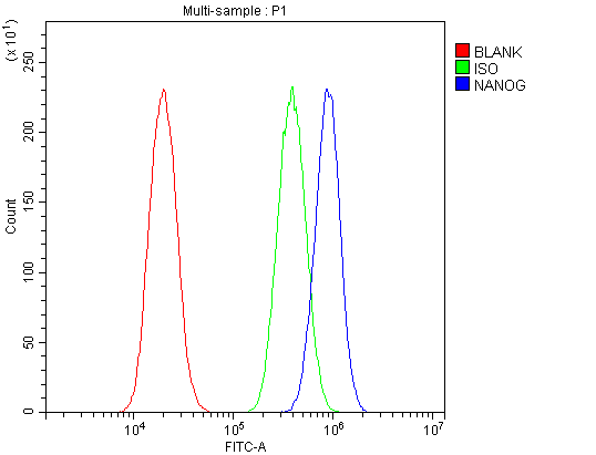 NANOG Antibody - Flow Cytometry analysis of A549 cells using anti-Nanog antibody. Overlay histogram showing A549 cells stained with anti-Nanog antibody (Blue line). The cells were blocked with 10% normal goat serum. And then incubated with rabbit anti-Nanog Antibody (1µg/10E6 cells) for 30 min at 20°C. DyLight®488 conjugated goat anti-rabbit IgG (5-10µg/10E6 cells) was used as secondary antibody for 30 minutes at 20°C. Isotype control antibody (Green line) was rabbit IgG (1µg/10E6 cells) used under the same conditions. Unlabelled sample (Red line) was also used as a control.