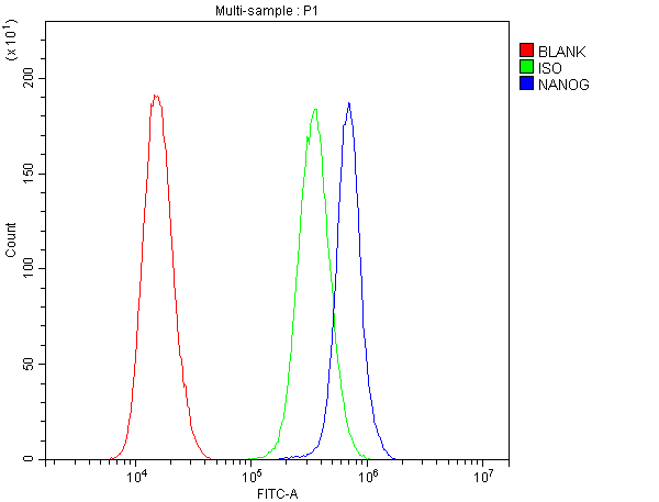 NANOG Antibody - Flow Cytometry analysis of PC-3 cells using anti-Nanog antibody. Overlay histogram showing PC-3 cells stained with anti-Nanog antibody (Blue line). The cells were blocked with 10% normal goat serum. And then incubated with rabbit anti-Nanog Antibody (1µg/10E6 cells) for 30 min at 20°C. DyLight®488 conjugated goat anti-rabbit IgG (5-10µg/10E6 cells) was used as secondary antibody for 30 minutes at 20°C. Isotype control antibody (Green line) was rabbit IgG (1µg/10E6 cells) used under the same conditions. Unlabelled sample (Red line) was also used as a control.