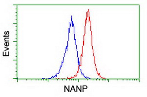 NANP Antibody - Flow cytometry of Jurkat cells, using anti-NANP antibody (Red), compared to a nonspecific negative control antibody (Blue).