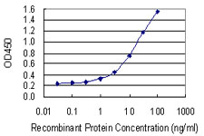 NAP1L1 Antibody - Detection limit for recombinant GST tagged NAP1L1 is 0.3 ng/ml as a capture antibody.