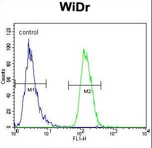 NARS Antibody - NARS Antibody flow cytometry of WiDr cells (right histogram) compared to a negative control cell (left histogram). FITC-conjugated goat-anti-rabbit secondary antibodies were used for the analysis.