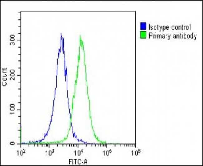 NAT10 Antibody - Overlay histogram showing Hela cells stained with NAT10 Antibody (N-Term) (green line). The cells were fixed with 2% paraformaldehyde (10 min) and then permeabilized with 90% methanol for 10 min. The cells were then icubated in 2% bovine serum albumin to block non-specific protein-protein interactions followed by the antibody (NAT10 Antibody (N-Term), 1:25 dilution) for 60 min at 37°C. The secondary antibody used was Goat-Anti-Rabbit IgG, DyLight® 488 Conjugated Highly Cross-Adsorbed (OE188374) at 1/200 dilution for 40 min at 37°C. Isotype control antibody (blue line) was rabbit IgG1 (1µg/1x10^6 cells) used under the same conditions. Acquisition of >10, 000 events was performed.