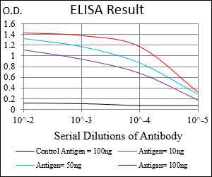 NBN / Nibrin Antibody - Red: Control Antigen (100ng); Purple: Antigen (10ng); Green: Antigen (50ng); Blue: Antigen (100ng);