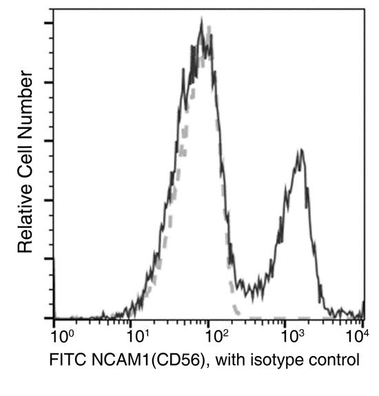 NCAM / CD56 Antibody - Flow cytometric analysis of Human NCAM1(CD56) expression on human whole blood lymphocytes. Cells were stained with FITC-conjugated anti-Human NCAM1(CD56). The fluorescence histograms were derived from gated events with the forward and side light-scatter characteristics of viable lymphocytes.