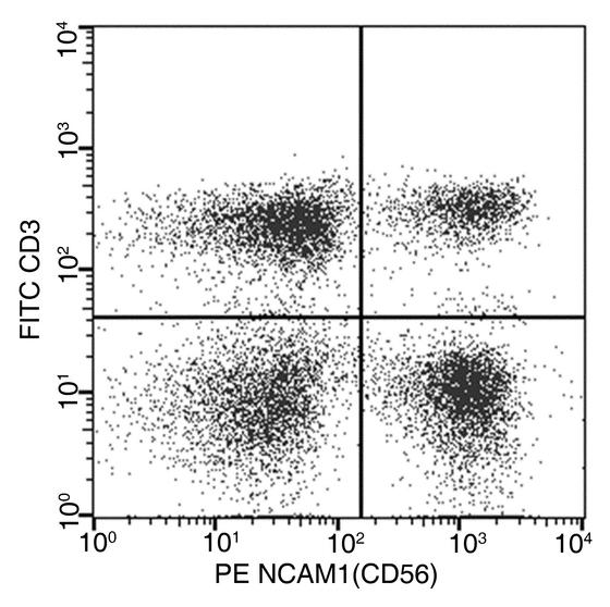 NCAM / CD56 Antibody - Flow cytometric analysis of Human NCAM1(CD56) expression on human whole blood lymphocyte. Cells were stained with PE-conjugated anti-Human NCAM1(CD56). The fluorescence histograms were derived from gated events with the forward and side light-scatter characteristics of viable lymphocytes.