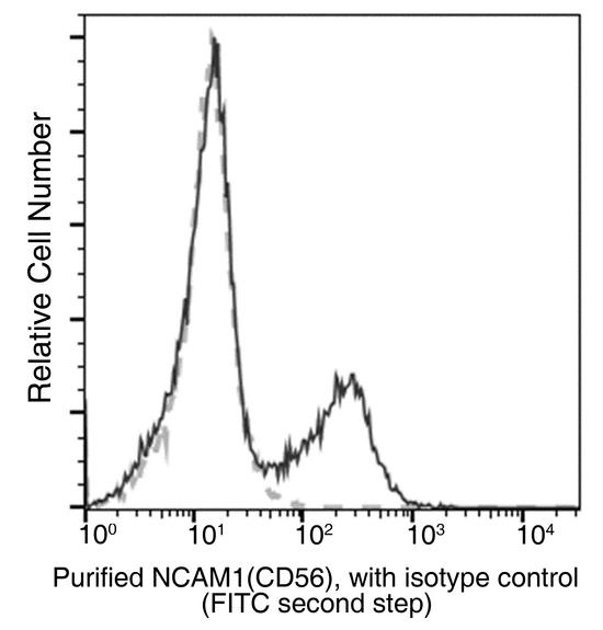 NCAM / CD56 Antibody - Flow cytometric analysis of Human NCAM1(CD56) expression on human whole blood lymphocyte. Cells were stained with purified anti-Human NCAM1(CD56), then a FITC-conjugated second step antibody. The fluorescence histograms were derived from gated events with the forward and side light-scatter characteristics of viable lymphocytes.