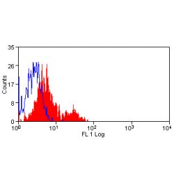 NCAM / CD56 Antibody - Flow cytometry of human peripheral blood lymphocytes with Mouse anti-Human CD56: FITC This image was taken for the unconjugated form of this product. Other forms have not been tested.
