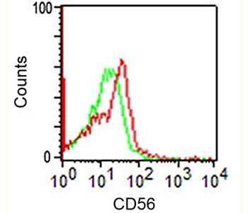 NCAM / CD56 Antibody - NCAM CD56 antibody 123C3.D5 flow cytometry.  This image was taken for the unmodified form of this product. Other forms have not been tested.