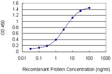 NCAM / CD56 Antibody - Detection limit for recombinant GST tagged NCAM1 is 0.03 ng/ml as a capture antibody.