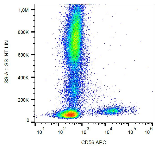 NCAM / CD56 Antibody - Surface staining of human peripheral blood with anti-human CD56 (LT56) APC.