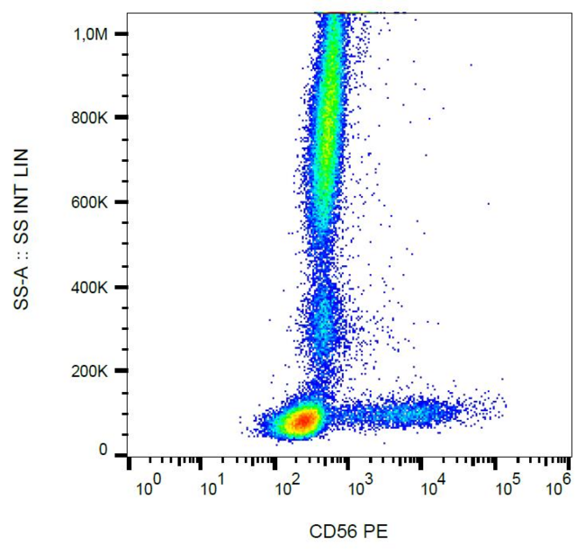 NCAM / CD56 Antibody - Surface staining of human peripheral blood with anti-human CD56 (LT56) PE.