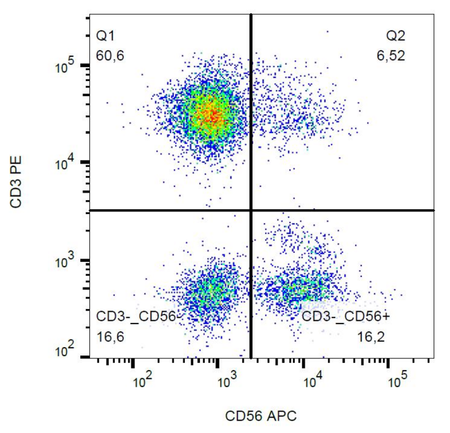 NCAM / CD56 Antibody - Surface staining of human peripheral blood lymphocytes with anti-CD56 (MEM-188) APC. 