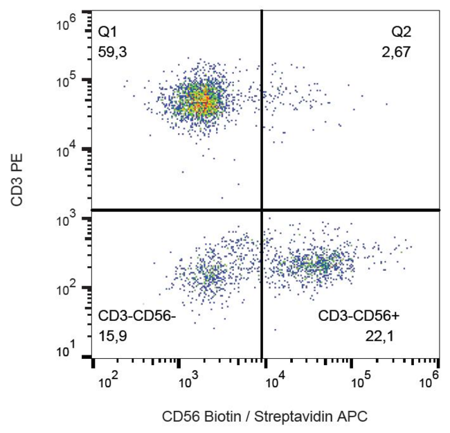 NCAM / CD56 Antibody - Surface staining of human peripheral blood lymphocytes with anti-CD56 (MEM-188) biotin; streptavidin-APC.