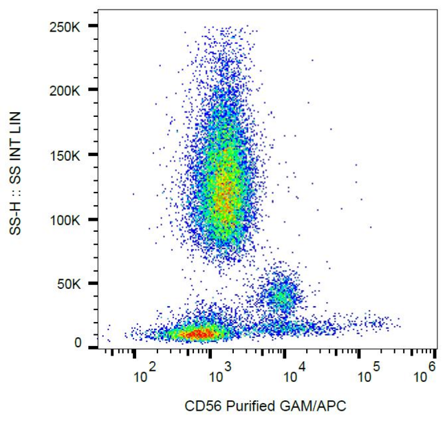 NCAM / CD56 Antibody - Surface staining of human peripheral blood lymphocytes with anti-CD56 (MEM-188) purified; GAM-APC.