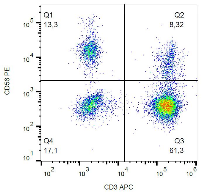 NCAM / CD56 Antibody - Surface staining of human peripheral blood lymphocytes with anti-CD56 (MEM-188) PE. 