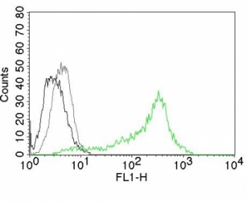 NCL / Nucleolin Antibody - Flow cytometry testing of 293T cells. Black: cells alone; Grey: isotype control; Green: AF488-labeled NCL antibody (364-5).  This image was taken for the unmodified form of this product. Other forms have not been tested.