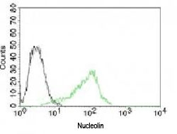 NCL / Nucleolin Antibody - Flow cytometry testing of human 293 cells and Alexa Fluor 488-labeled Nucleolin antibody (green).  This image was taken for the unmodified form of this product. Other forms have not been tested.