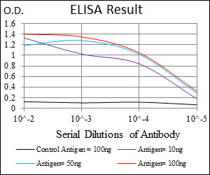 NCLN Antibody - Red: Control Antigen (100ng); Purple: Antigen (10ng); Green: Antigen (50ng); Blue: Antigen (100ng);