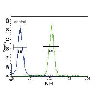 NCOA7 Antibody - NCOA7 Antibody flow cytometry of 293 cells (right histogram) compared to a negative control cell (left histogram). FITC-conjugated goat-anti-rabbit secondary antibodies were used for the analysis.