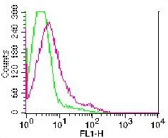 NCR1 / NKP46 Antibody - Fig-1: Cell surface staining of rat splenocytes. Green represents FITC conjugated isotype control, red represents FITC conjugated anti-rat NKP46 antibody. 0.2 ug antibody was used.