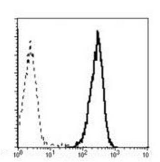 NCR1 / NKP46 Antibody - Fig-1: Flow cytometry analysis of anti-NKp46 ) in IL-2-stimulated Rat NK cells. Black line represent anti-NKp46 (Clone: WEN23), dotted line represent Secondary antibody control.
