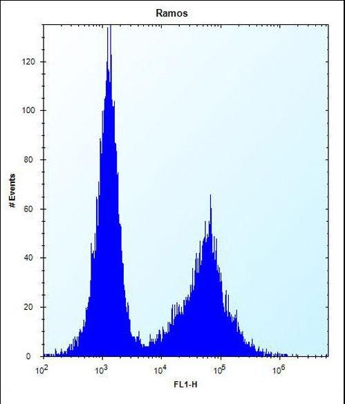 NDN / Necdin Antibody - NDN Antibody flow cytometry of Ramos cells (right histogram) compared to a negative control cell (left histogram). FITC-conjugated donkey-anti-rabbit secondary antibodies were used for the analysis.