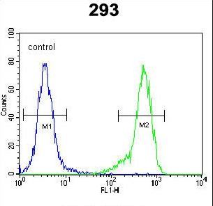 NDNF Antibody - C4orf31 Antibody flow cytometry of 293 cells (right histogram) compared to a negative control cell (left histogram). FITC-conjugated goat-anti-rabbit secondary antibodies were used for the analysis.