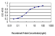 NDST1 Antibody - Detection limit for recombinant GST tagged NDST1 is approximately 0.03 ng/ml as a capture antibody.