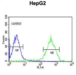 NDUFA10 Antibody - NDUFA10 Antibody flow cytometry of HepG2 cells (right histogram) compared to a negative control cell (left histogram). FITC-conjugated goat-anti-rabbit secondary antibodies were used for the analysis.