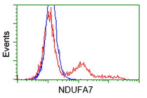 NDUFA7 Antibody - HEK293T cells transfected with either overexpress plasmid (Red) or empty vector control plasmid (Blue) were immunostained by anti-NDUFA7 antibody, and then analyzed by flow cytometry.